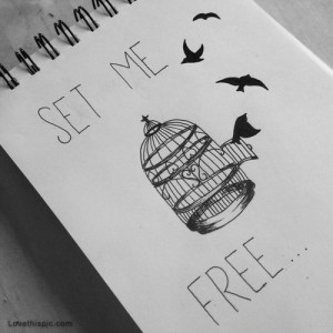 11475-set-me-free