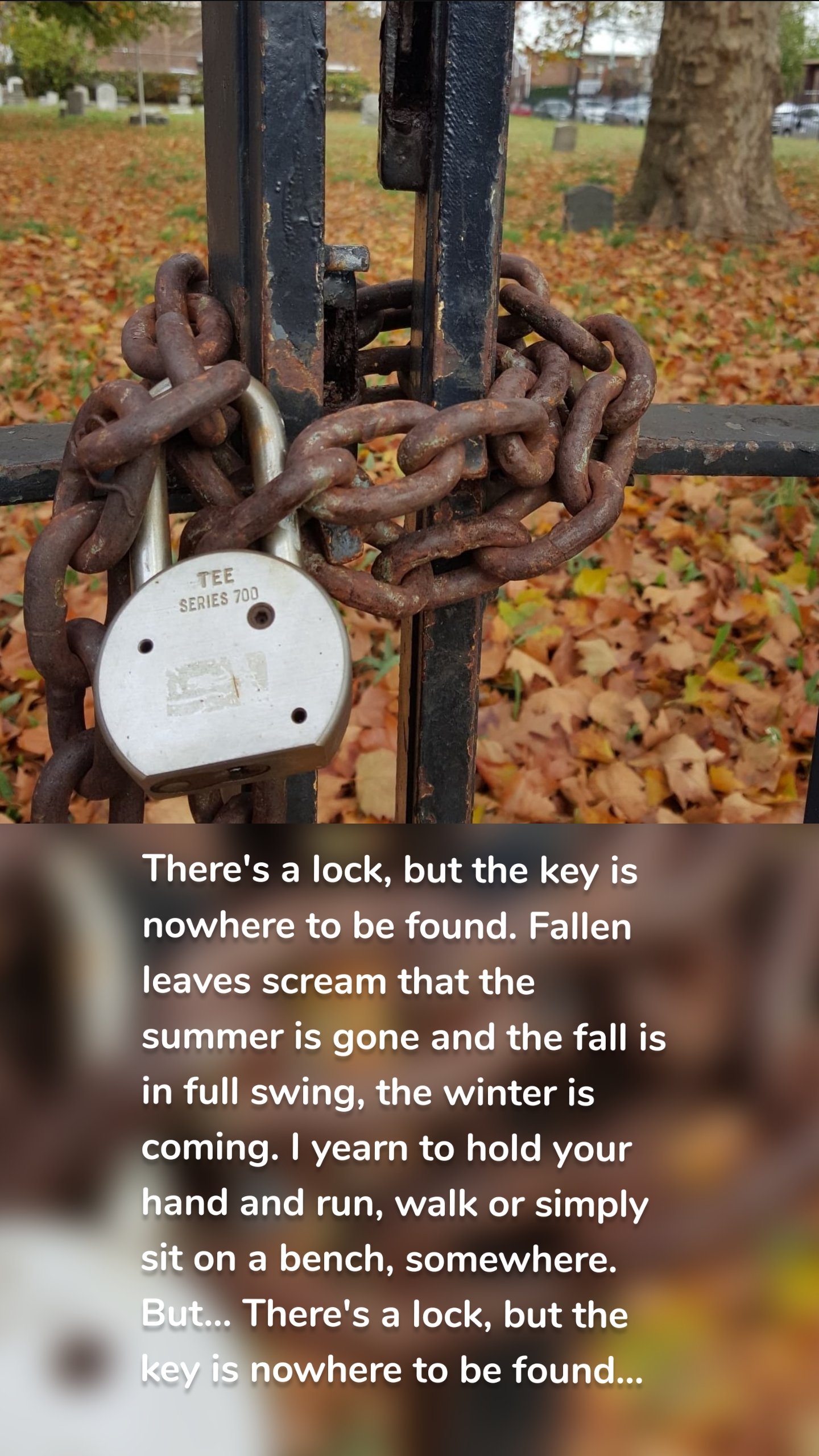 There's a lock, but the key is nowhere to be found. Fallen leaves scream that the summer is gone and the fall is in full swing, the winter is coming. I yearn to hold your hand and run, walk or simply sit on a bench, somewhere. But... There's a lock, but the key is nowhere to be found...
